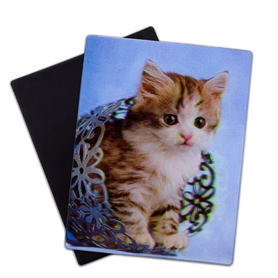 Lovely Puppies 3D Magnets Lenticular 3D Fridge Magnet For Souvenir Gift