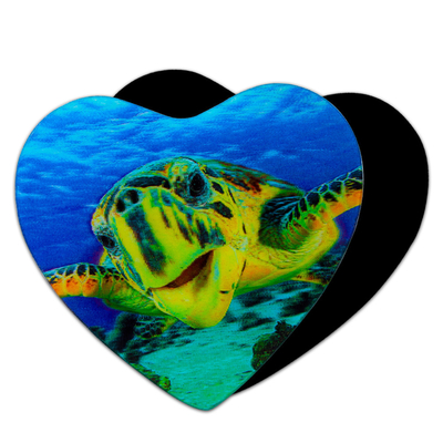 3D Magnets Sealifes Dolphin Shark Turtle Lenticular Printing Card For Gifts