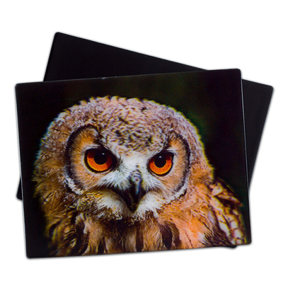 Wolf Owl Wild Animals 3D Magnets Lenticular 3D Refrigerator Magnet For Tourist
