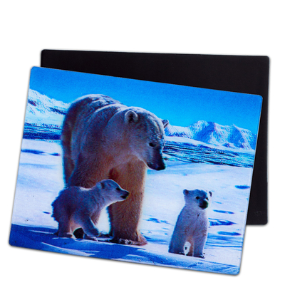 Lovely Puppies 3D Magnets Lenticular 3D Fridge Magnet For Souvenir Gift