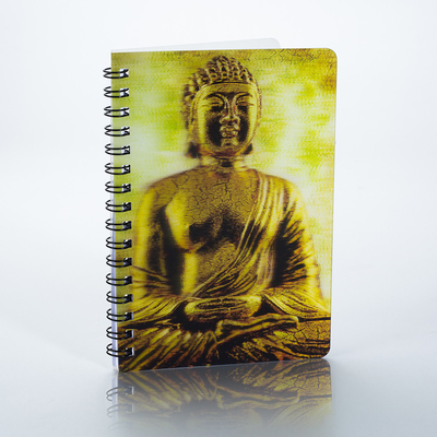 hot sales custom design A4 A5 3d lenticular spiral exercise journal notebook with 3d cover for students