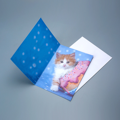High Quality Factory Wholesale Custom Printing 3D Motion Effect Lenticular Card