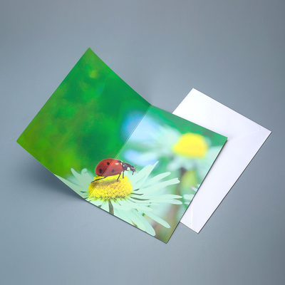 High Quality Factory Wholesale Custom Printing 3D Motion Effect Lenticular Card