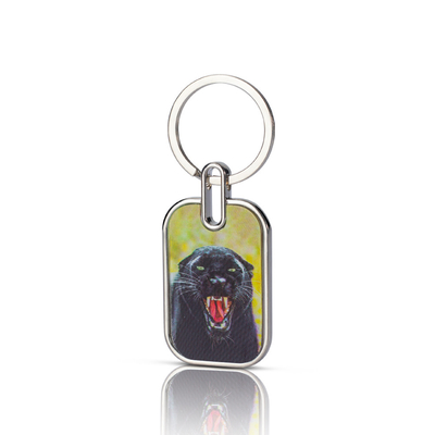 Wholesale Custom Printing Key Chain Cut Clear Double Sided Acrylic Board Key Holder Made in China Stainless Steel Metal