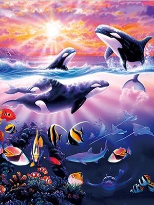 Sealifes Dolphin Turtle Shark Lenticular 3D Motion Card Souvenir Gift Card