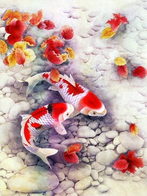 Sealifes Dolphin Turtle Shark Lenticular 3D Motion Card Souvenir Gift Card
