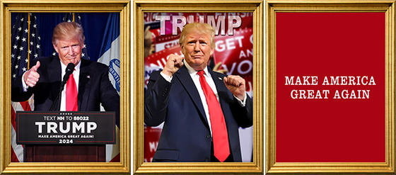 TRUMP Designs Printing Customized 3D PET Lenticular Poster 3D Lenticular Printing