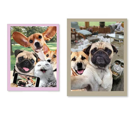 New Products 3d Hologram Greeting Cards With Interesting Animal Series