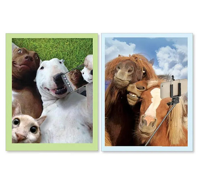 New Products 3d Hologram Greeting Cards With Interesting Animal Series