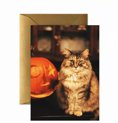 High Quality 3D Lenticular Anime Style Luxury Moulding Cutting Personal Business Paper Greeting Lenticular Card