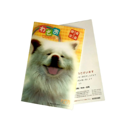 New Style 3D Lenticular Printing Lenticular sheet Lenticular Greeting Card