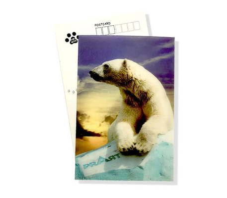 New Style 3D Lenticular Printing Lenticular sheet Lenticular Greeting Card