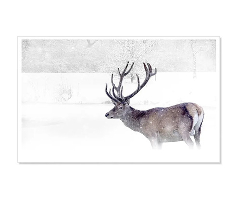 New Style 3D Lenticular Printing Lenticular sheet Lenticular Greeting Card