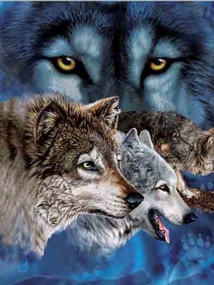 Wall Art Cartoon 3D Lenticular Poster Home Decoration Custom Lenticular Printing