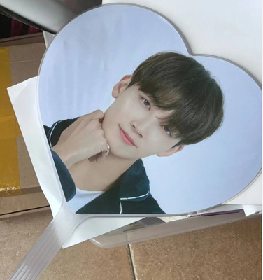Custom KPop Event Fan For Gift Custom plastic PET Transparent 3D Fan