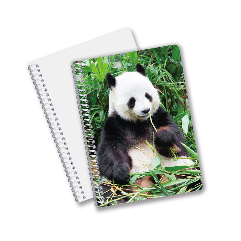 Wholesale customized hot sale size A6 A5 A4 PET spiral 3D lenticular CMYK printing notebooks for office work