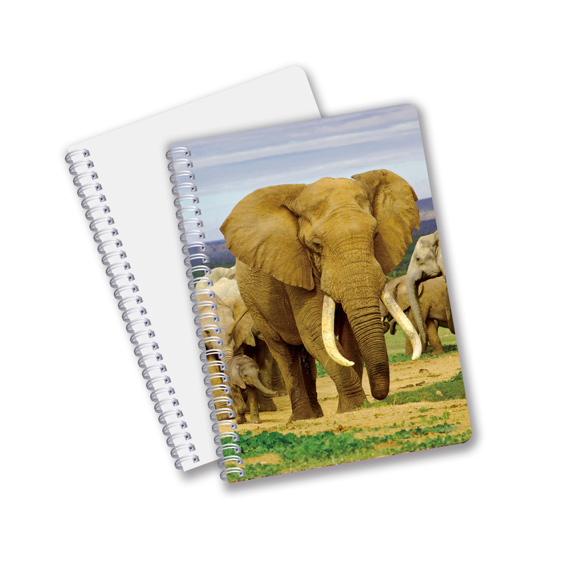 Factory Custom B5 A5 A6 3d Printing Lenticular Notebook Cute Spiral Student Notebook
