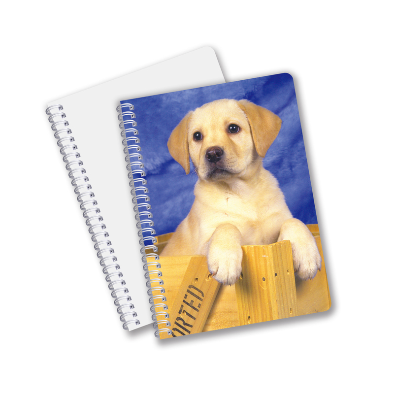 China Factory 3D Lenticular Custom offset Printed PET A3/A4/A5/A6 Notebooks