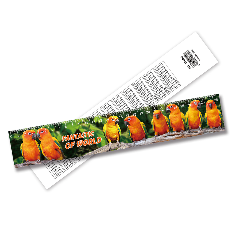 Wholesale 3D Lenticular Printing Plastic Ruler Lenticular Printing Ruler Accept Custom Size Design