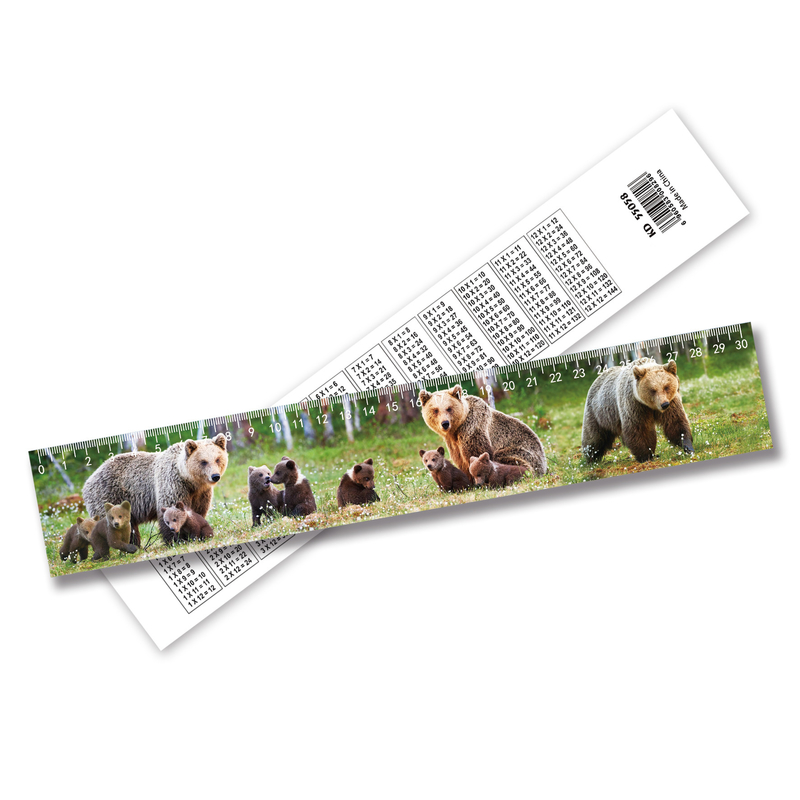 New Trending High Quality Cheap Custom 3D Lenticular Ruler 3D Picture Irregularity Ruler By 3D Ruler Supplier