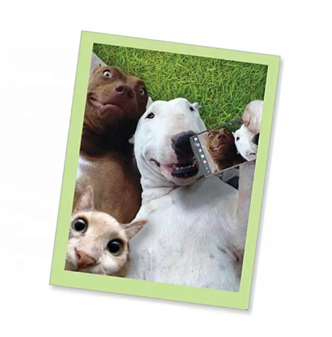High Quality 3D Lenticular Anime Style Luxury Moulding Cutting Personal Business Paper Greeting Lenticular Card