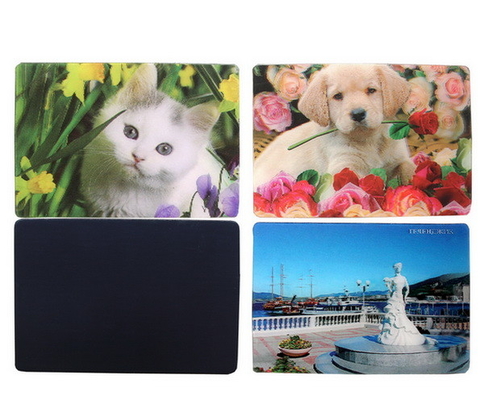 3D Refrigerator Magnets Magnets 3d Lenticular Creative Fridge Magnet Magnetic 3D Magnets Tourist Souvenir