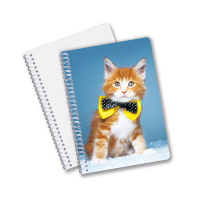 Wholesale 3D Effect 3D Lenticular Printing Notebook Hardcover Spiral Bound Notebook Perforated Notebook For Kids