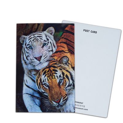 Participation and Donation Options 3D Card with Lenticular Printing