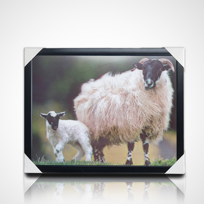 Customized 3D PET Lenticular Poster Printing 3D Painting with Black PS Frame for Home Decoration