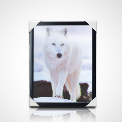 Wholesale Wall Paints PET 40*30cm 3D 5D Lenticular Animals World Picture With Black Frame for Living Room Decoration