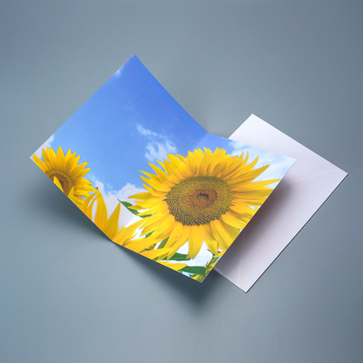 High Quality Factory Wholesale Custom Printing 3D Motion Effect Lenticular Card